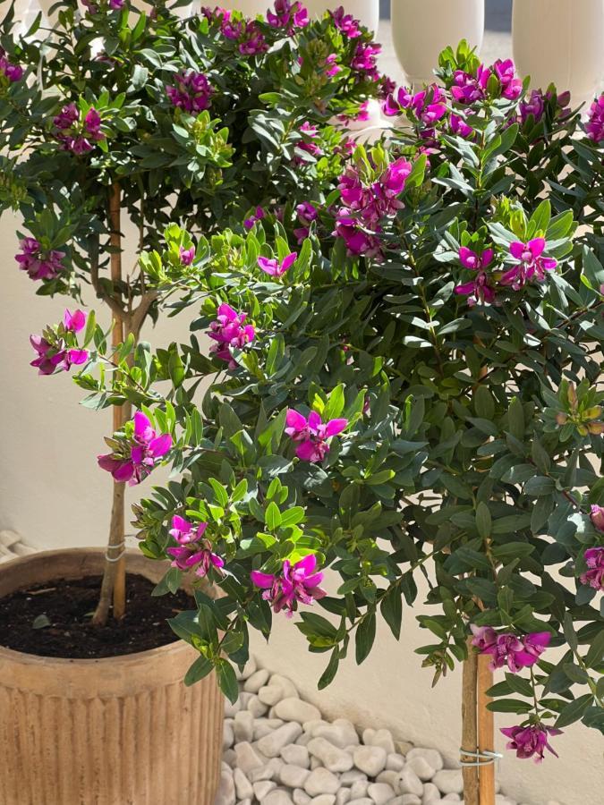 Fresh Apartment, 2 Bedroom, 2 Bathroom, 2 Lovely Poolareas Los Alcázares Buitenkant foto
